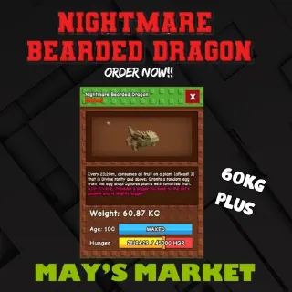 NIGHTMARE BEARDED DRAGON 60KG PLUS !