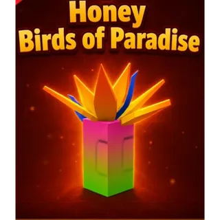 Honey Birds of Paradise Seed 1099R
