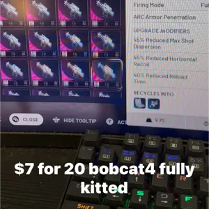 Bobcat