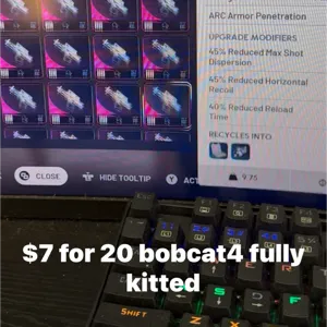 bobcats
