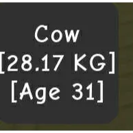 cow 28.17kgs gag
