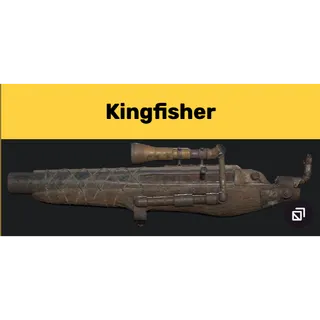 Kingfisher