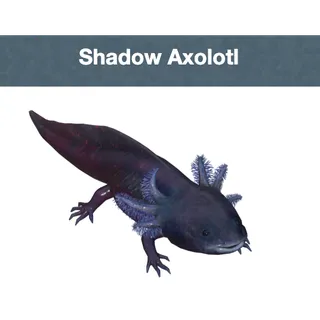 Shadow Axolotl x2