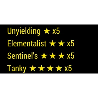 Unyielding Elementalist Sentinel Tanky