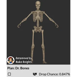 Plan: Dr. Bones