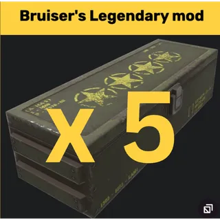 bruiser mod x5