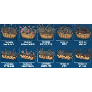 all flower box plans