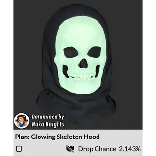 Plan: Glowing Skeleton Hood