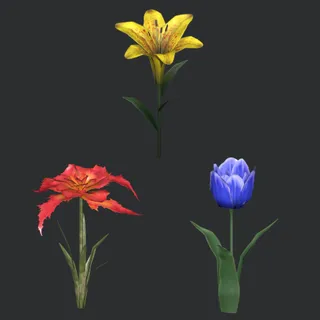 Flowers