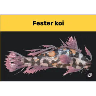 Fester Koi x2