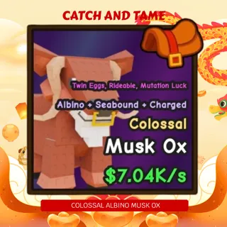 EXCLUSIVE ALBINO MUSK OX