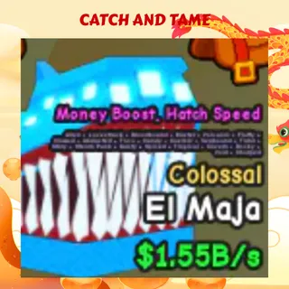 CATCH AND TAME | EL MAJA | 1B/s+