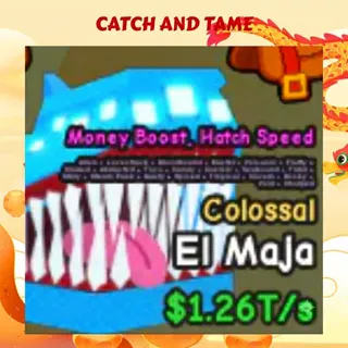 CATCH AND TAME | EL MAJA | 1T/s+