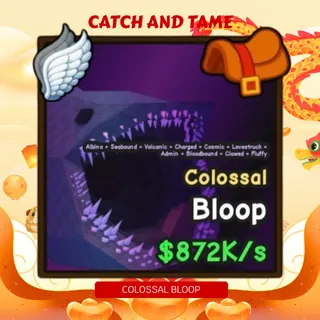 872K COLOSSAL BLOOP