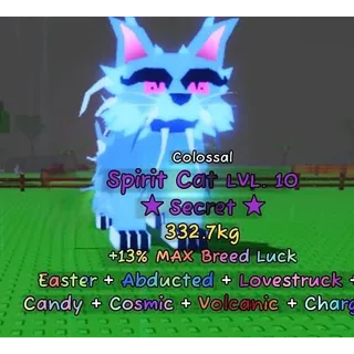 COLOSSAL SPIRIT CAT