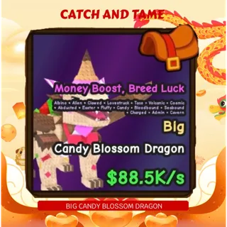 BIG CANDY BLOSSOM DRAGON