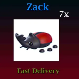 7X Rhino Beetle