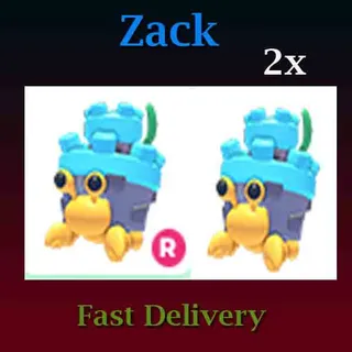 Castle Hermit Crab 2X