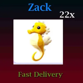 Seahorse 22X