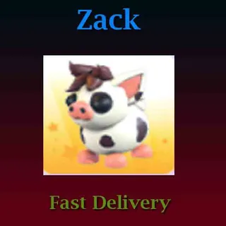  Mini Pig (Full Grown)