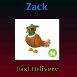 Pet | N Brown-Chested Pheasant