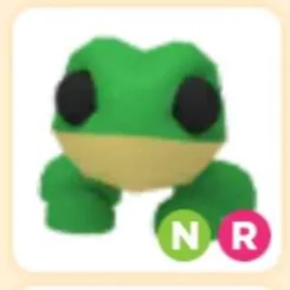 Pet | Frog NR