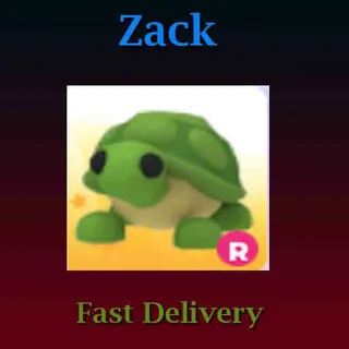 R Turtle (Full Grown)