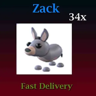 34X Donkey
