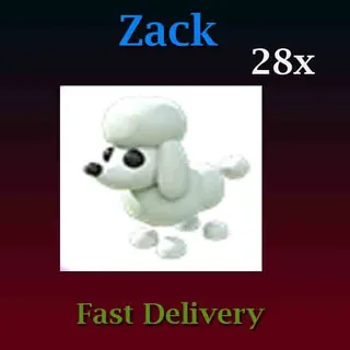 28X Poodle