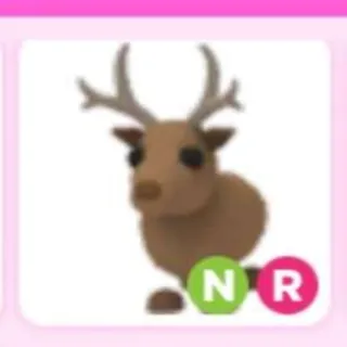 Pet | Reindeer NR