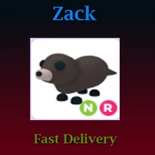 Pet | NR Otter (Luminous)