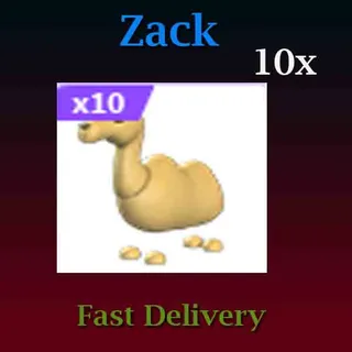 10X Camel