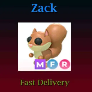 Pet | MFR Red Squirrel