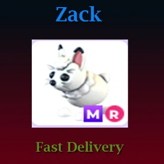 Pet | MR Arctic Hare