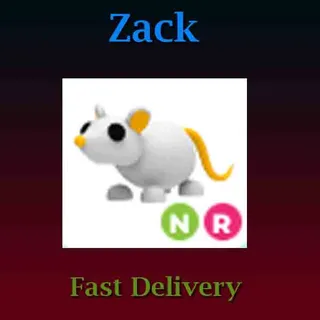 Golden Rat NR (Luminous)