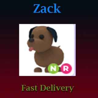 NR Chocolate Labrador (Luminous)