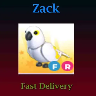 FR White Amazon (Full Grown)