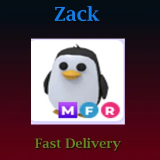 Pet | MFR Penguin