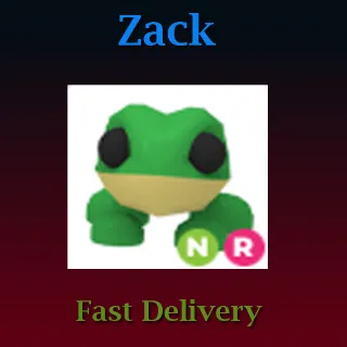 Pet | NR Frog
