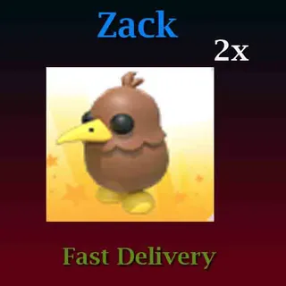 Kiwi 2X