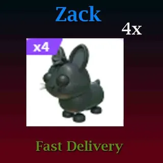 4X Amami Rabbit 