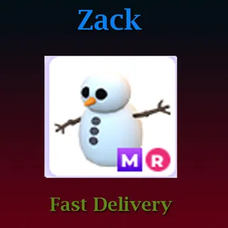 Snowman MR