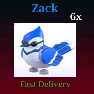 6X Blue Jay