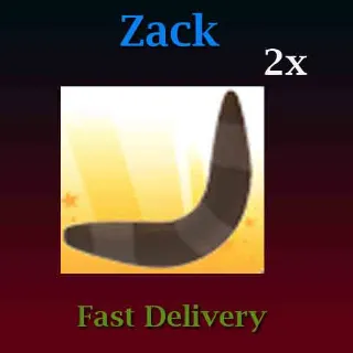 Other | 2X Boomerang Throw Toy