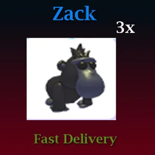 Pet | 3X Black Macaque