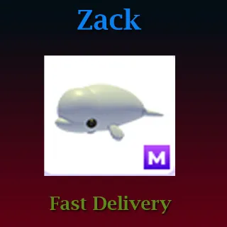 Pet | Mega Beluga Whale