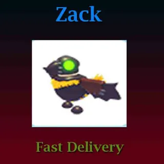 Pet | Scarecrow Crow