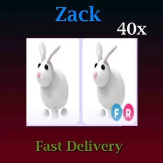 Rabbit 40X