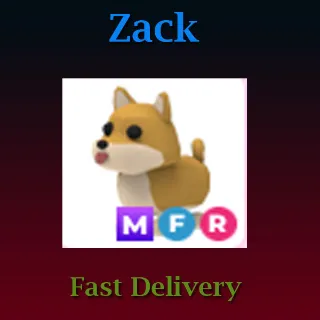 MFR Shiba Inu