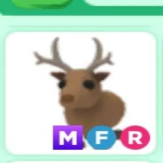 Pet | Reindeer MFR